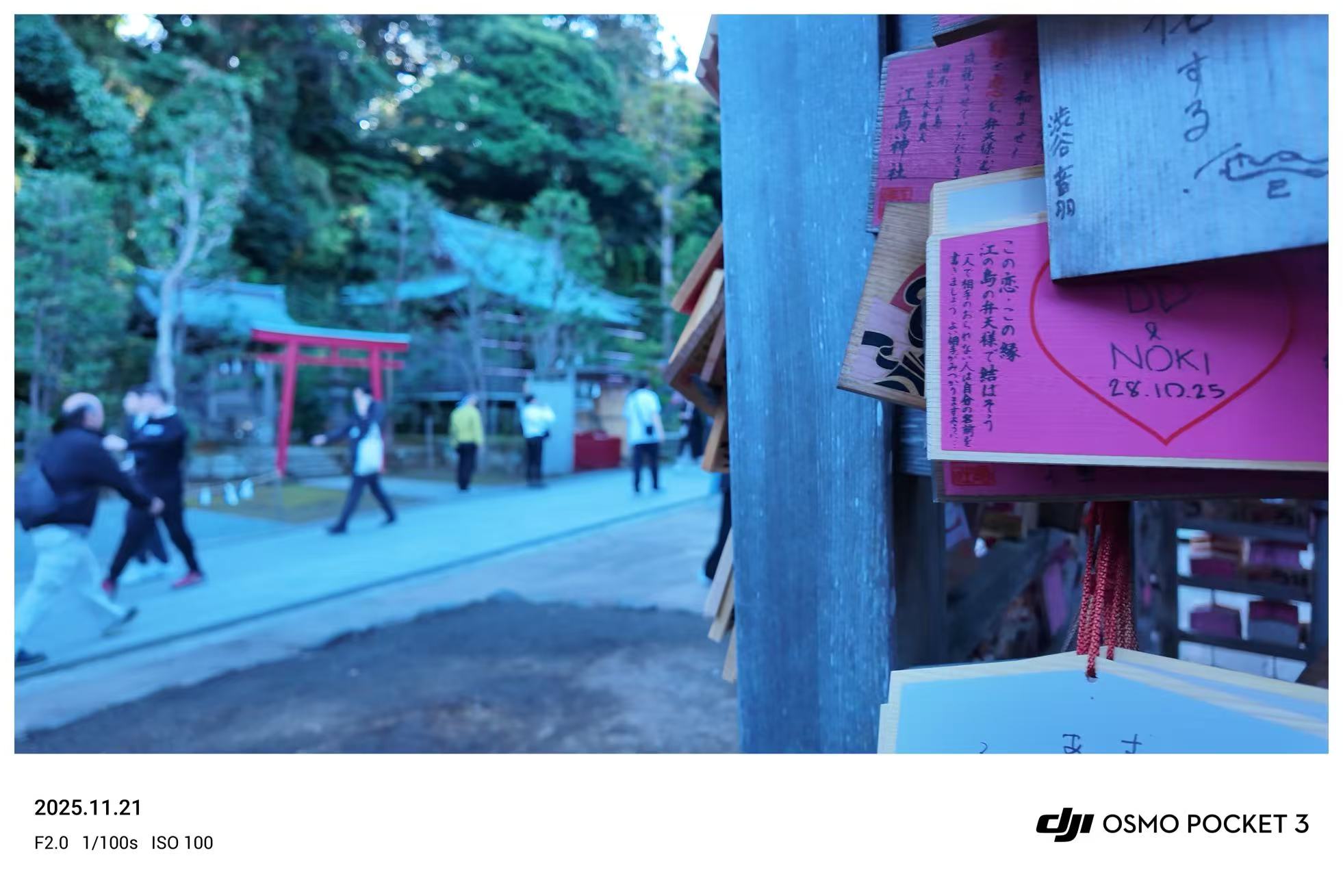 风景·自然 - 照片2