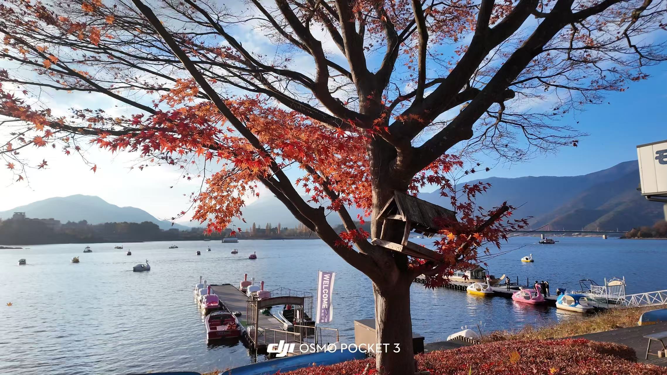 风景·自然 - 照片12