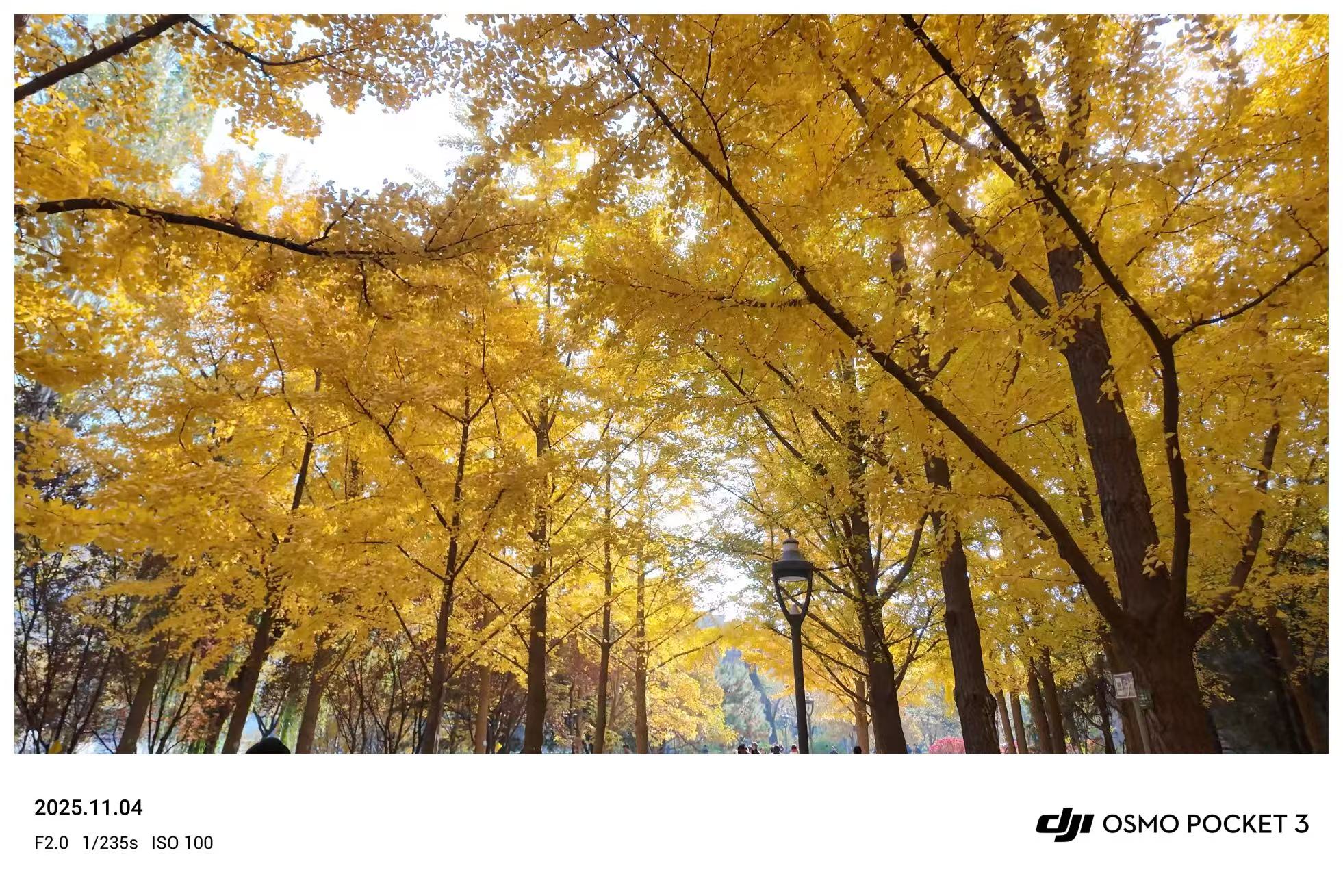 街景·建筑 - 照片4