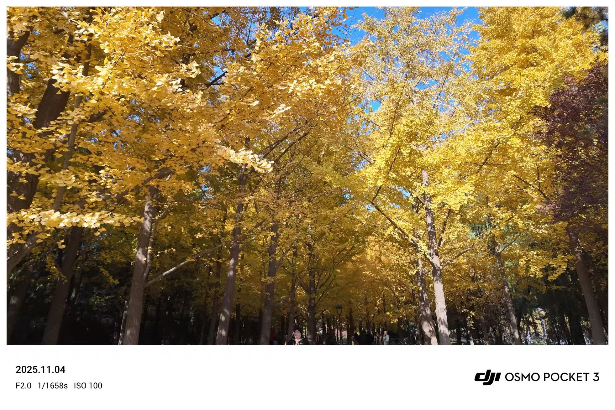 人文·生活 - 照片3